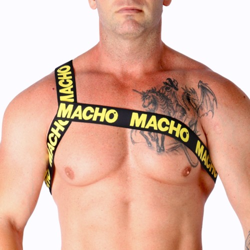 MACHO - ROMAN HARNESS PRIDE