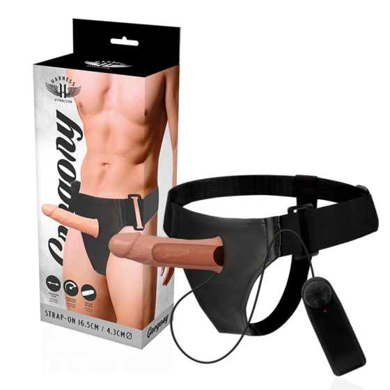 HARNESS ATTRACTION - GREGORY HOLLOW RNES MIT VIBRATOR 16,5 X 4,3 CM