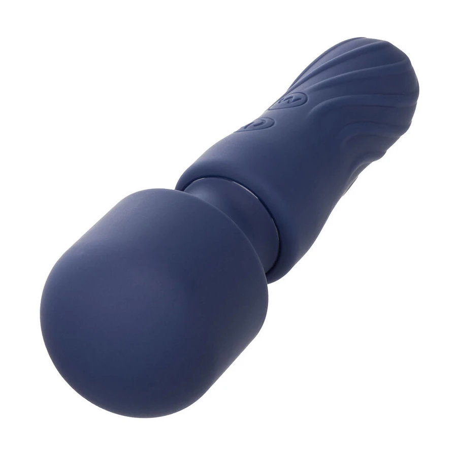 CALEXOTICS - CHARISMA CHARM MASSAGER 12 FUNCTIONS PURPLE