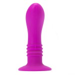 BOOTY PASSION ВИБРАТОРНЫЙ ПЛАГ 10V