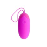 ПУЛЬТ ДИСТАНЦИОННОГО УПРАВЛЕНИЯ PRETTY LOVE EGG BERGER 12 В