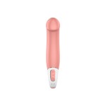 SATISFYER - VIBE MAÎTRE