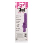 CALIFORNIA EXOTICS - POWER STUD CLITERRIFIC PURPLE VIBRATOR