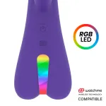 MR BOSS - AITOR RABBIT COMPATIBLE AVEC LA TECHNOLOGIE SANS FIL WATCHME
