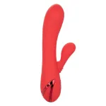 CALIFORNIA EXOTICS - PALISADES ROSSO PASSIONE