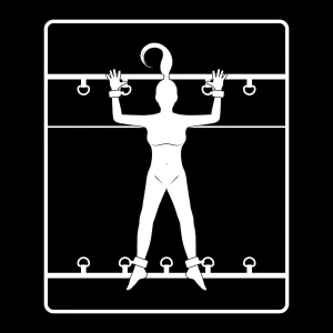 FETISH SUBMISSIVE - РОСКОШНЫЙ НАБОР ПОКРОВАЛЬНЫХ ЗАВЯЗОК С ПОДКЛАДКОЙ ИЗ НОПРЕНА