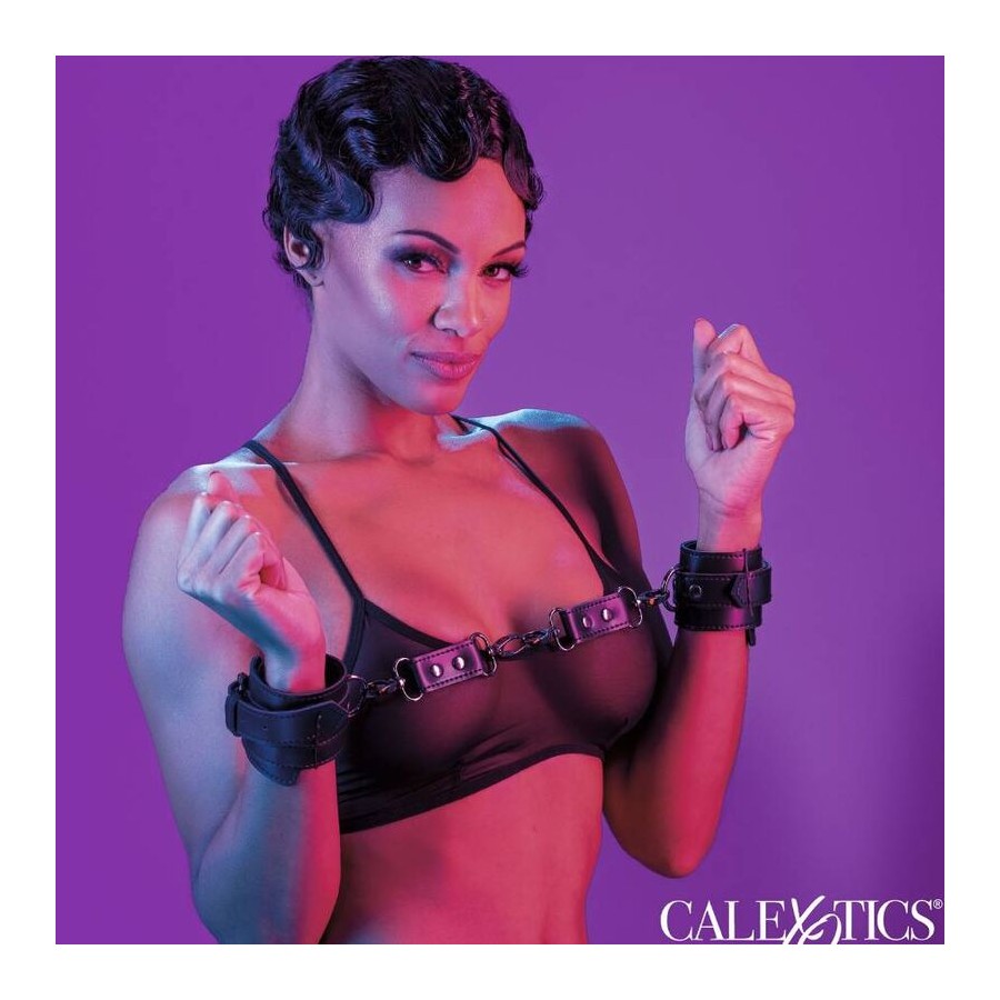 CALIFORNIA EXOTICS - EUPHORIA POLSINI