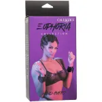CALIFORNIA EXOTICS - EUPHORIA POLSINI