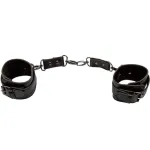 CALIFORNIA EXOTICS - EUPHORIA POLSINI