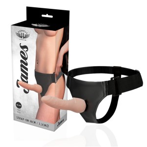 HARNESS ATTRACTION - RNES JAMES 16 X 3,3 CM