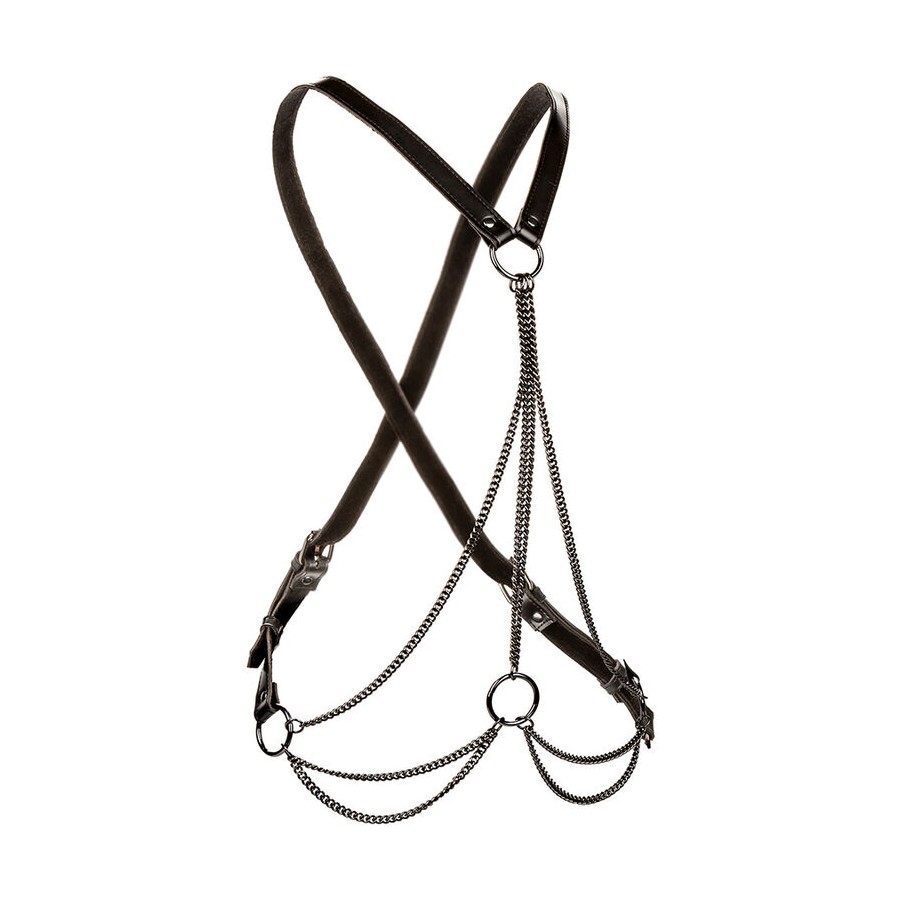 CALEXOTICS - EUPHORIA MULTICHAIN HARNESS PREMIUM