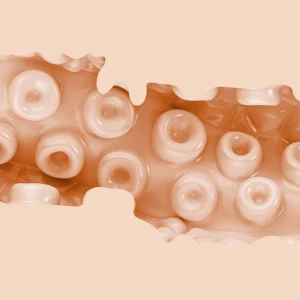 FLESHLIGHT FANTASY - SASHA NAKAMOTO VAGIN