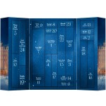 SATISFYER - PREMIUM ADVENT CALENDAR 2025 | Pasio