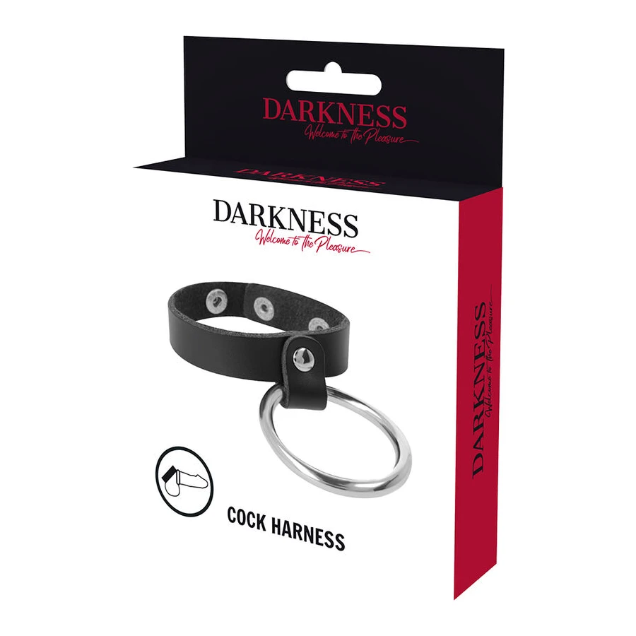 DARKNESS - METAL RING FOR THE PENIS AND TESTICLES